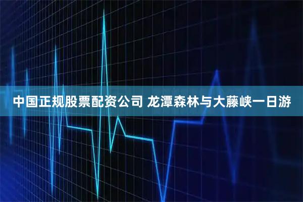中国正规股票配资公司 龙潭森林与大藤峡一日游